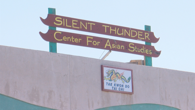 martial-arts-discimination-sig-consolidated-01_frame_19297